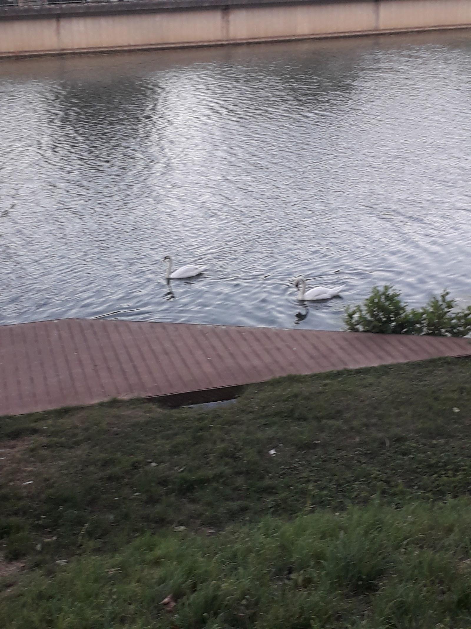 Le Domaine Des Bords De Marne