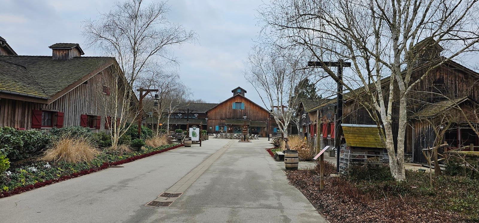 Timber Trail